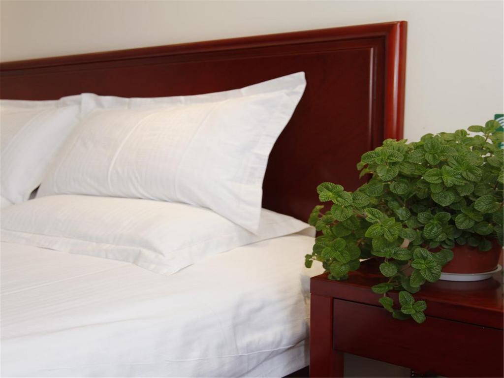 Greentree Inn Shanghai Dongming Road Subway Station Express Hotel Ngoại thất bức ảnh